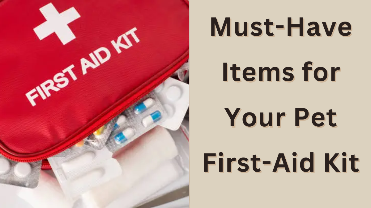 Must-Have Items for Your Pet First-Aid Kit