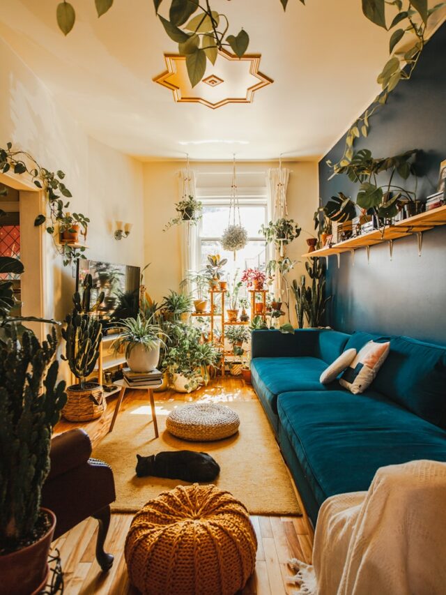 9 Indoor Plants That Will Wow Your Guests