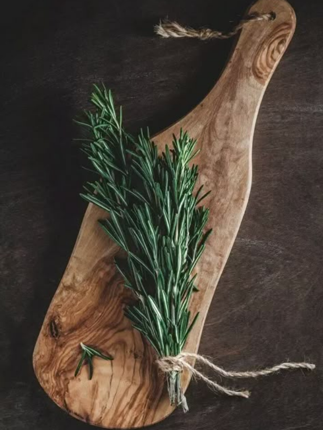 Everything you need to know about rosemary