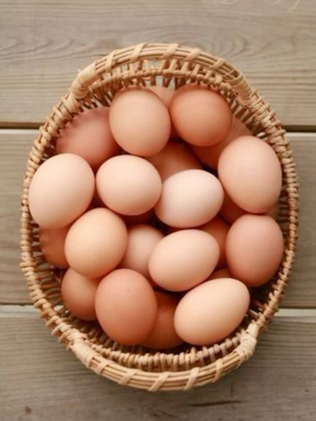 15 Interesting Facts About Hard-Boiled Eggs You Have to Know