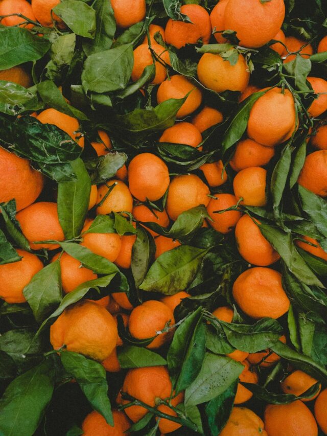 Fruits That Are Surprisingly High in Calcium